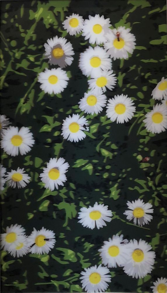 Multiple Opie - French Landscapes: Daisies
