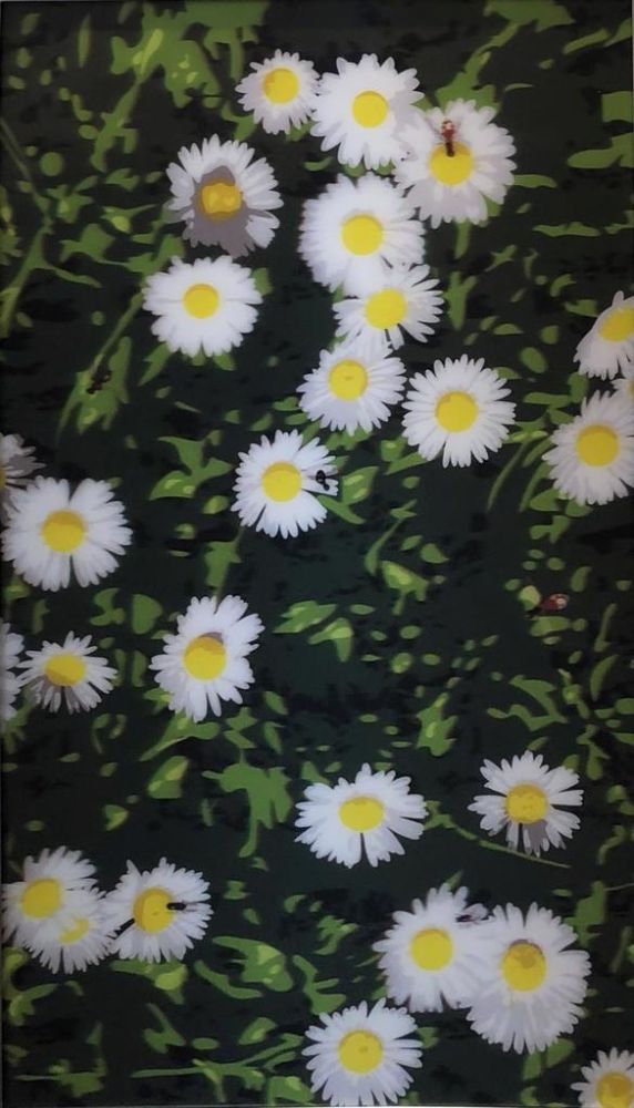 Keine Technische Opie - French Landscapes: Daisies