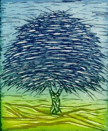 Illustriertes Buch Rossello - Gli alberi della memoria