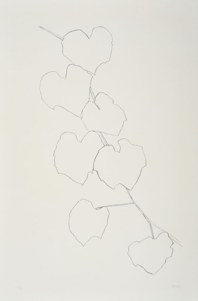 Lithographie Kelly - Grape Leaves II