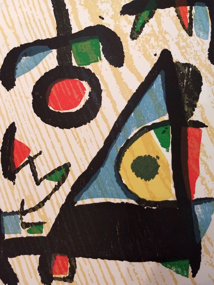 Illustriertes Buch Miró - Graveur 2