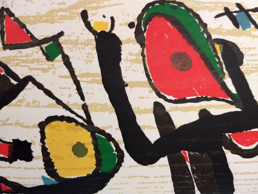 Illustriertes Buch Miró - Graveur 3
