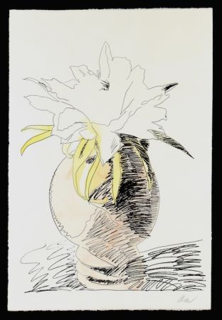 Siebdruck Warhol - Hand Colored Flowers III.114