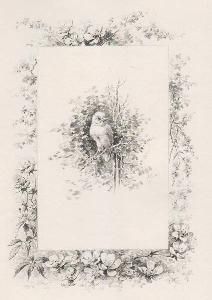Illustriertes Buch Giacomelli - Histoire d'un merle blanc. Compositions de Hector Giacomelli gravées à l'eau-forte par L. Buisson.