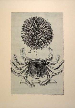 Illustriertes Buch Ernst - Histoire naturelle