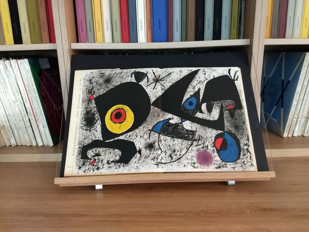 Illustriertes Buch Miró - Hommage