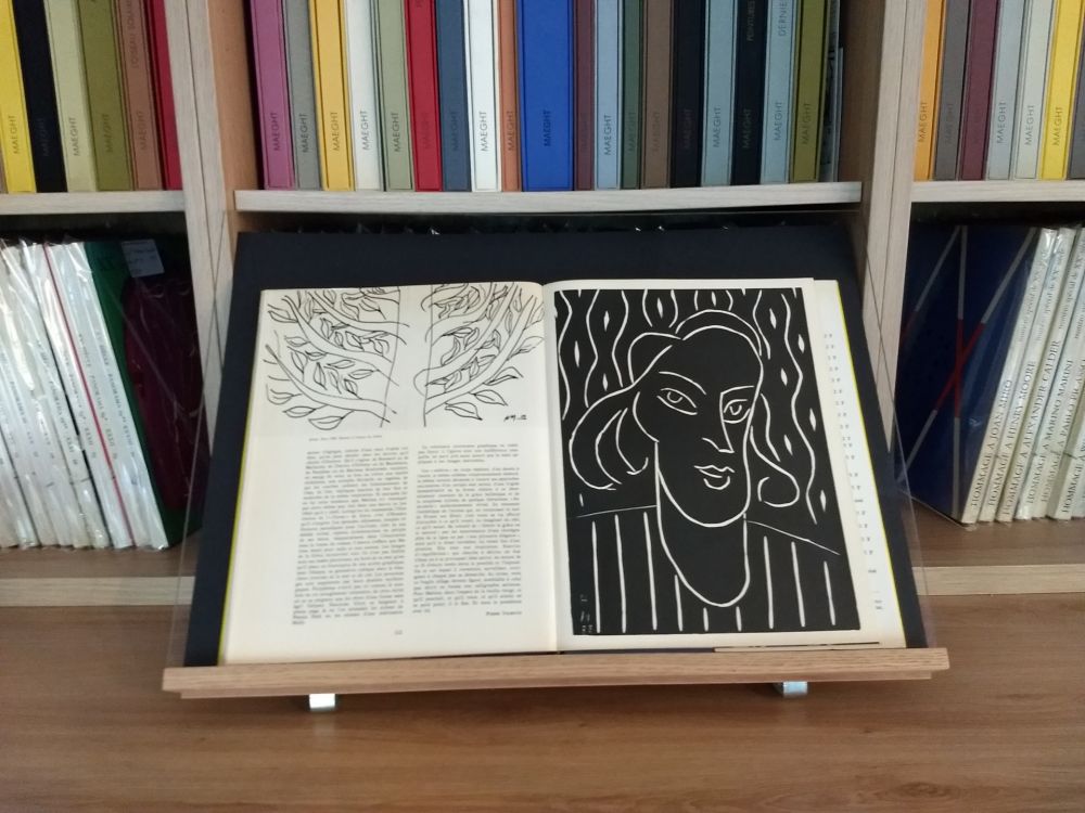 Illustriertes Buch Matisse - Hommage