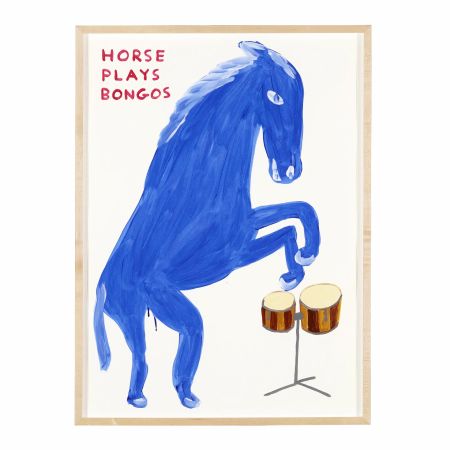 Keine Technische Shrigley -  Horse plays Bongos