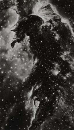Multiple Longo - Horsehead Nebula