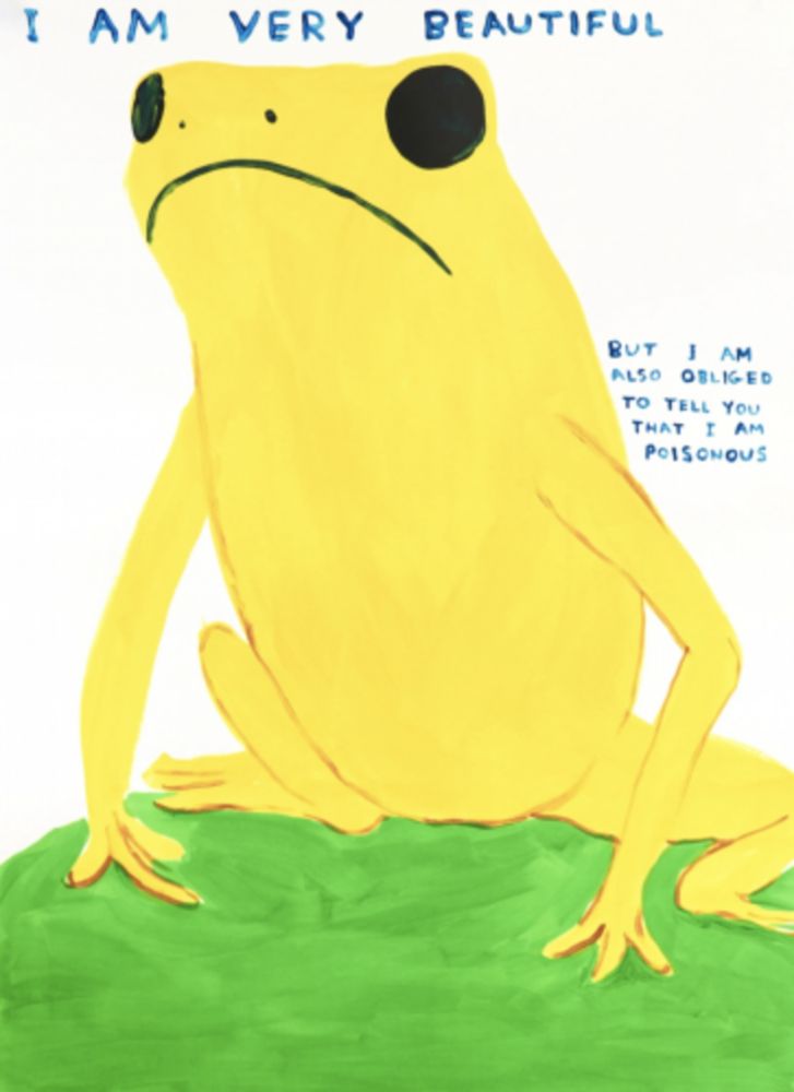 Siebdruck Shrigley - I Am Very Beautiful