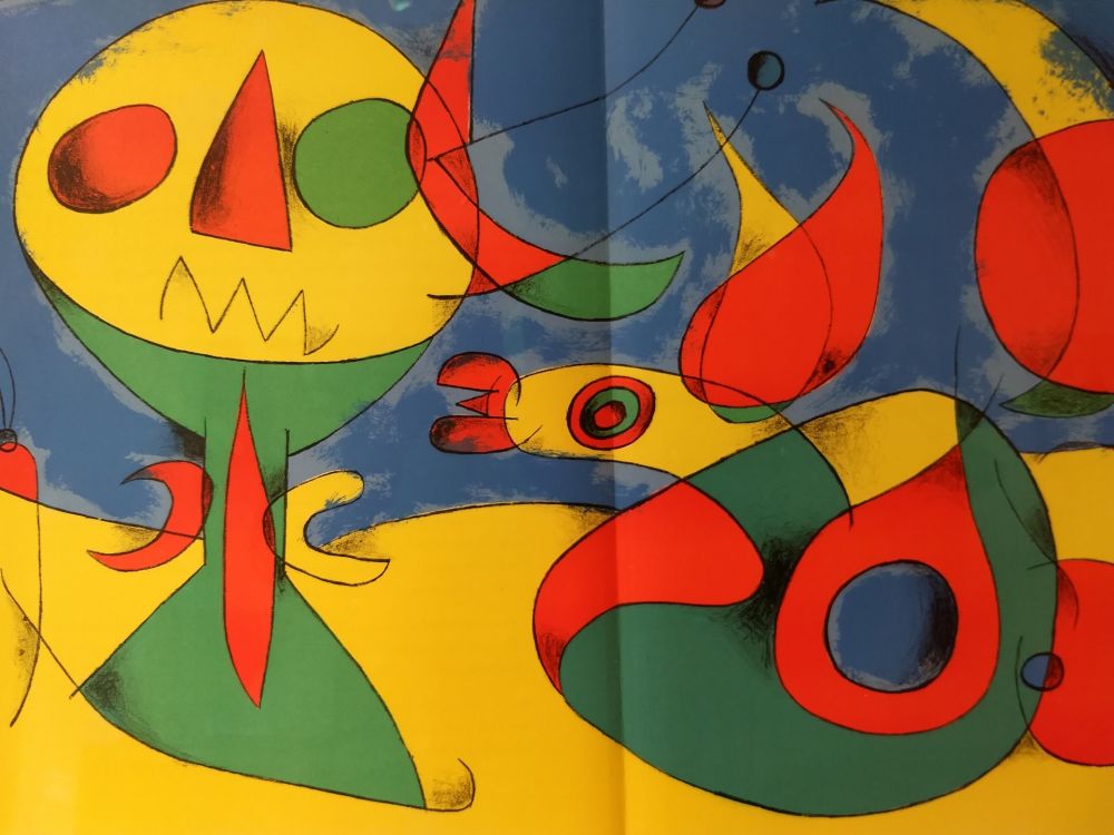 Illustriertes Buch Miró - Joan Miro