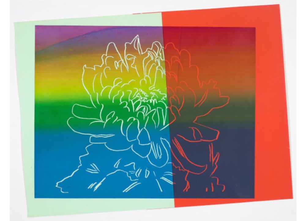 Siebdruck Warhol - Kiku