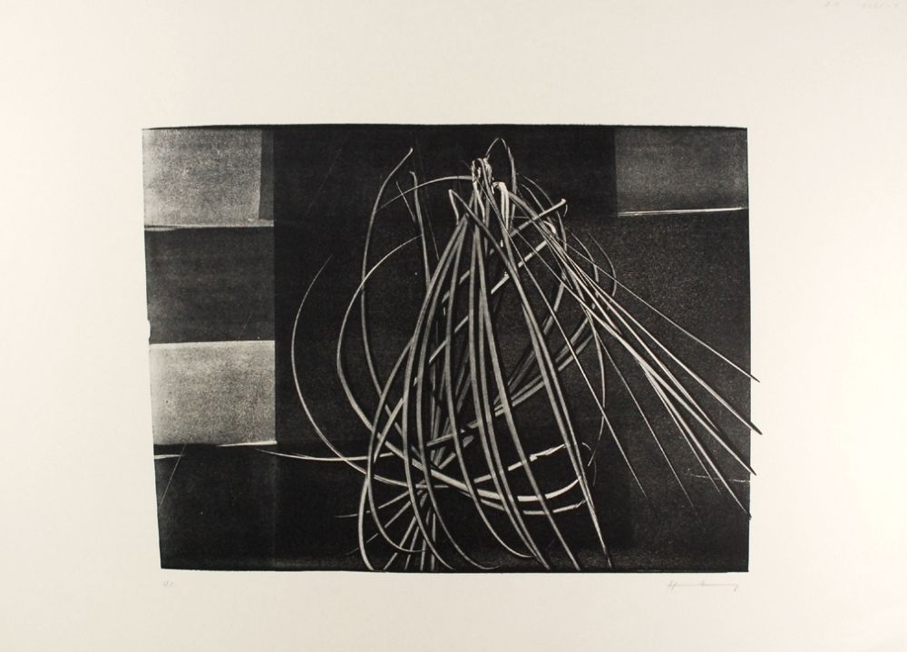 Lithographie Hartung - L-4-1976 