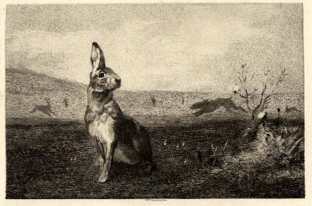 Stich Bracquemond - La lièvre (The Hare)