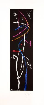 Stich Miró - La nuit étroite