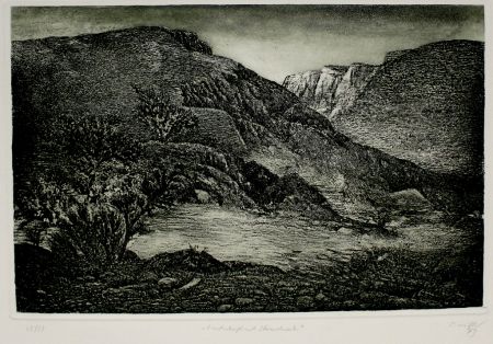 Radierung Und Aquatinta Müller - Landschaft mit Strauchwerk / Landscape with Bushes