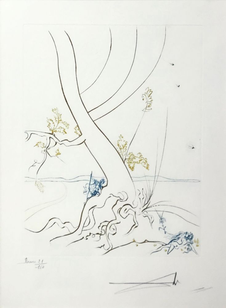 Radierung Dali - L'ARBREDE CONNAISSANCE (THE TREE OF KNOWLEDGE)