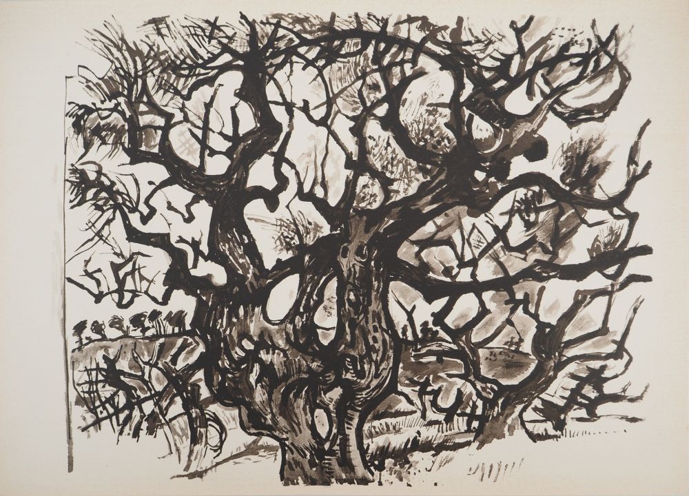 Lithographie Pignon - Le vieil arbre