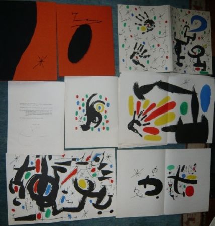 Illustriertes Buch Miró - Les essences de la terre