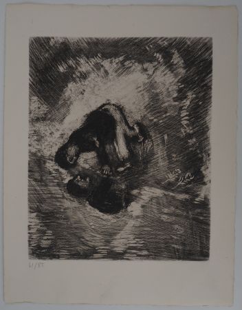 Stich Chagall - L'homme et son reflet