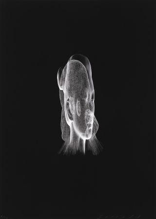 Digitale Druckgrafik Plensa - Lumière invisible Rui Rui