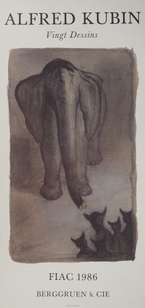 Illustriertes Buch Kubin - L'éléphant