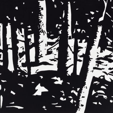 Holzschnitt Katz - Maine Woods II