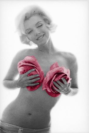 Fotografie Stern - Marilyn Pink Roses Large
