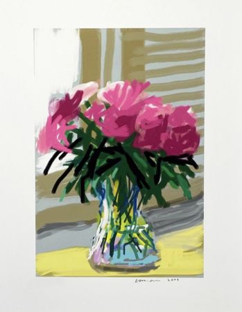 Multiple Hockney - My Window - iPad drawing 'No. 535', 28th June 2009,