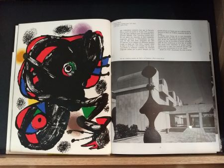 Illustriertes Buch Miró - No 46
