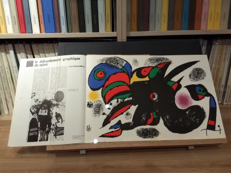 Illustriertes Buch Miró - No 47
