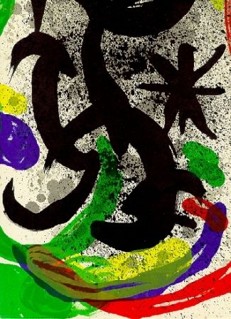 Illustriertes Buch Miró - Oeuvre gravé et lithographié