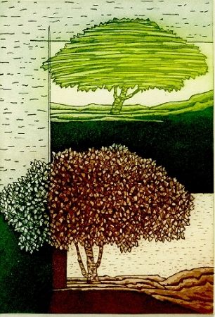 Illustriertes Buch Rossello - Paesaggio