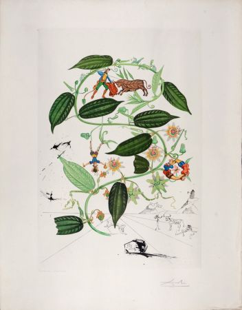 Stich Dali - Passiflora Lariguera, 1969 - Hand-signed!