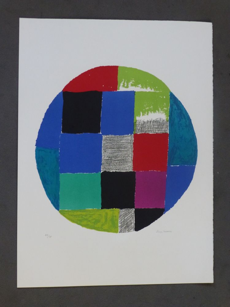Lithographie Delaunay - Patchwork