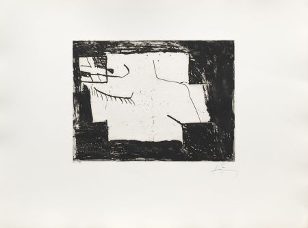 Stich Tàpies - Paupière