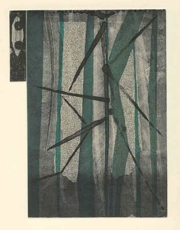 Illustriertes Buch Della Torre - Per infinite pianure