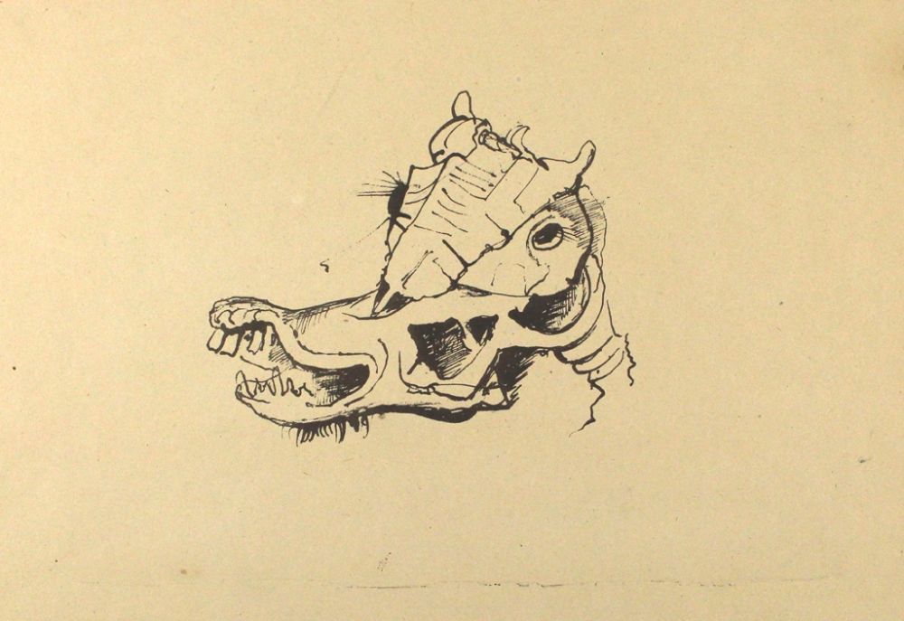 Lithographie Hofer - Pferdeschädel / Horse Skull