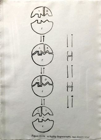 Multiple Warhol - Physiological Diagram