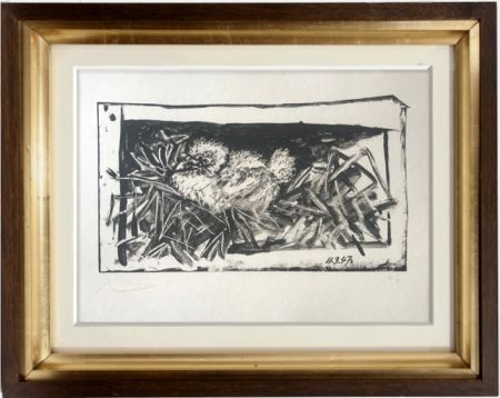 Lithographie Picasso - Pigeonneau dans son nid