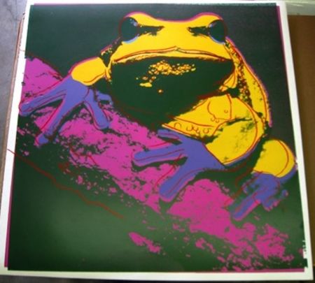 Siebdruck Warhol - Pine Barrens Tree Frog 294 by Andy Warhol