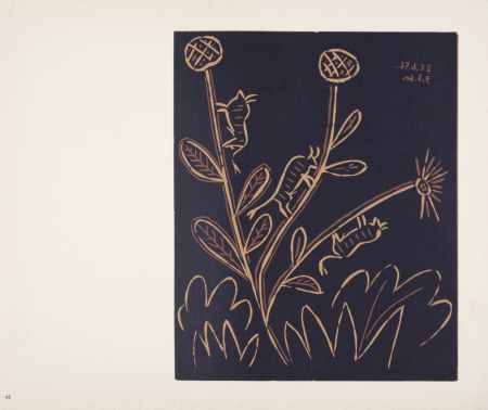 Linolschnitt Picasso - Plante aux Toritos, 1960