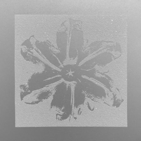 Siebdruck Robierb - Power Flower (Silver)