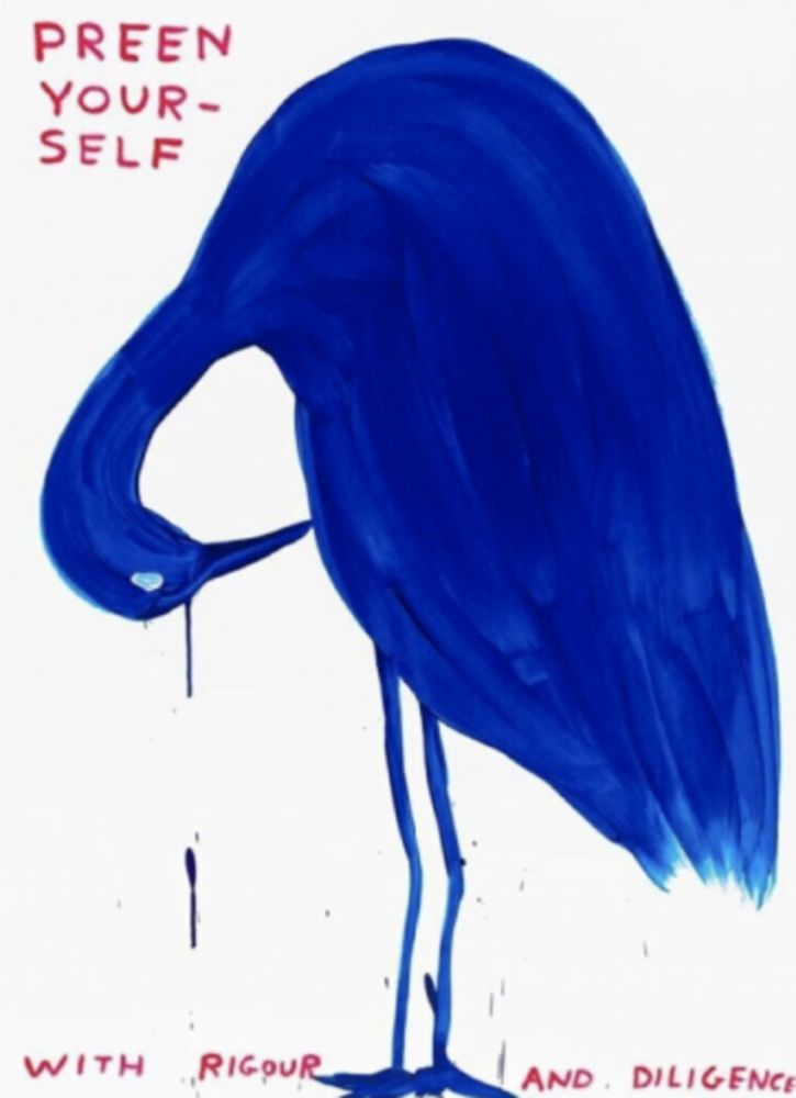 Siebdruck Shrigley - Preen Yourself