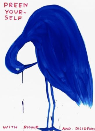Siebdruck Shrigley - Preen Yourself