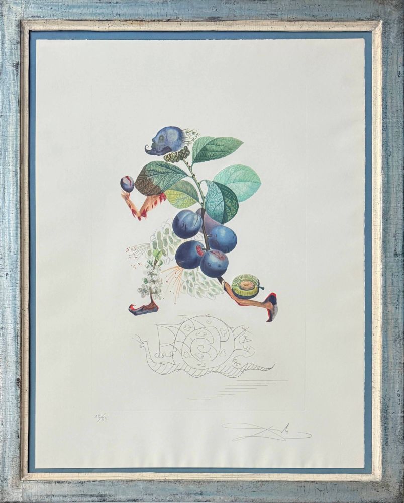 Lithographie Dali - Prunier hâtif (Hurrying Plum-tree)
