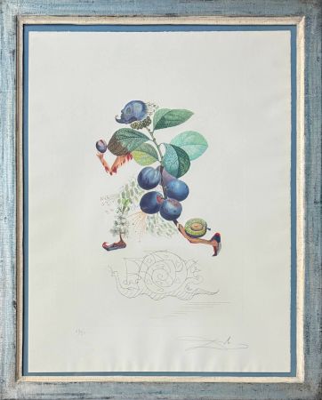 Lithographie Dali - Prunier hâtif (Hurrying Plum-tree)