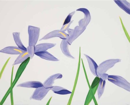 Keine Technische Katz - Purple Irises on White