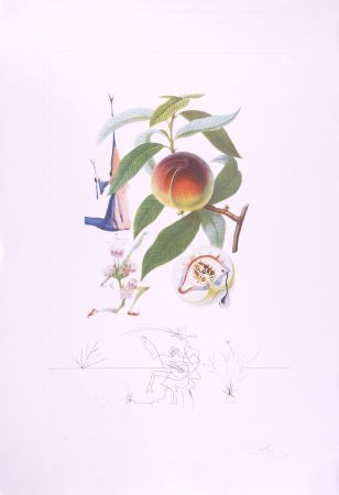 Kaltnadelradierung Dali - Pécheur pénitent - Peach (Suite Flordali Les Fruits)