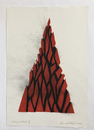 Keine Technische Nash - Red and black triangle, 2009